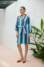 Robin Ocean Dress