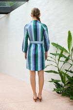 Robin Ocean Dress