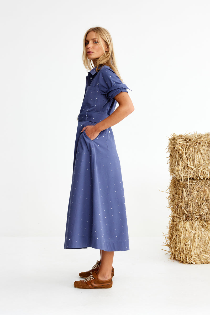The Show Ring Dress