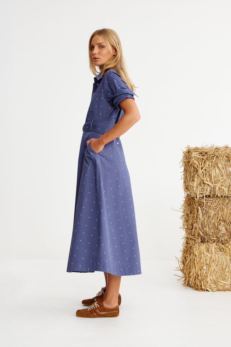 The Show Ring Dress