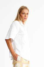 LIPIZZANER | WHITE