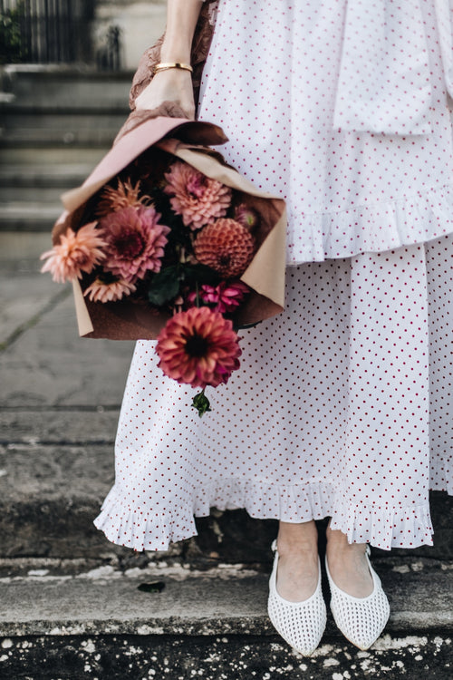 PLUM PUDDING | POLKA DOT