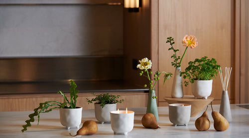 Botanical Diffuser
