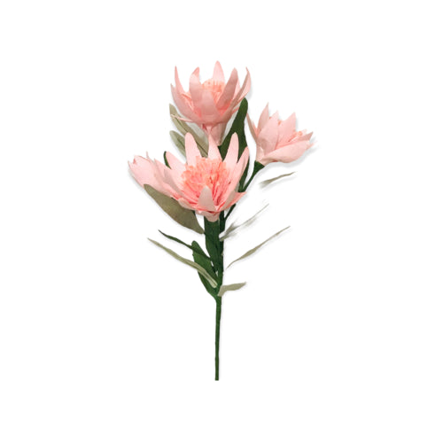 Paper Protea Flower bunch | Pink