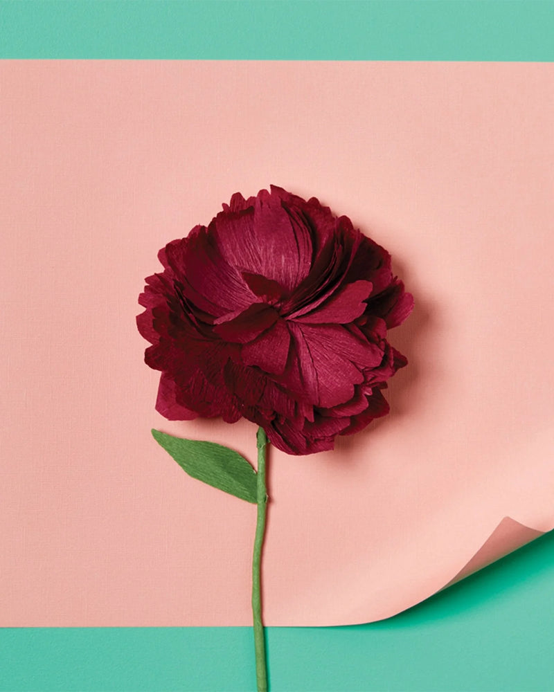 Paper Flower Making Kit