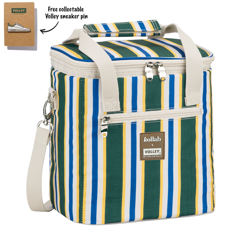 Mini Cooler