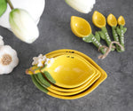 Limone Measuring Cup set of 4